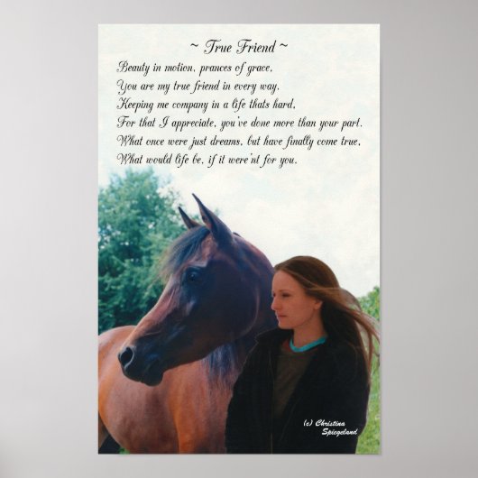 Poster von True Friend Arabian Horse Poster (Vorne)