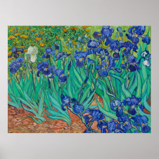 Poster von Van Goghs Schwertlilien
