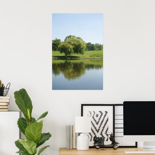 Poster von Weiden weinen. (Heimbüro)