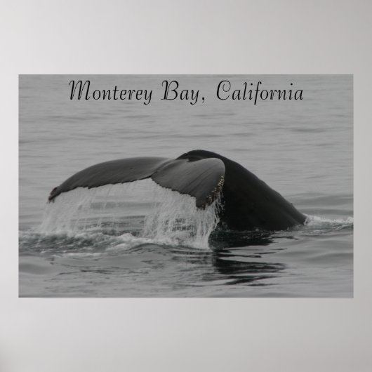 Poster, Walfluke, Monterey Poster (Vorne)