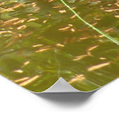 Poster, Wasserfall und Meerjungfrau Poster (Ecke)