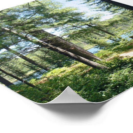 Poster "Weg zum See" (Ecke)