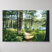 Poster "Weg zum See" (Vorne)