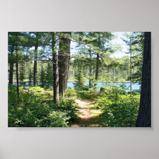 Poster "Weg zum See" (Vorne)