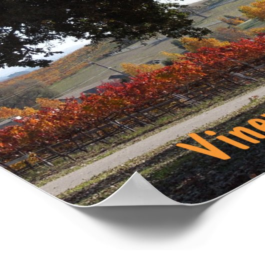 Poster: Weingarten und Eichenbaum im Herbst Poster (Ecke)