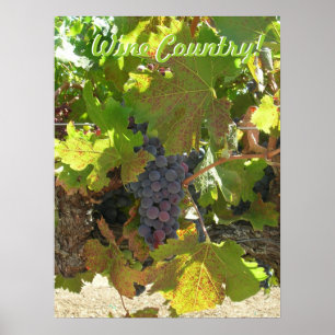 Poster - Weinland