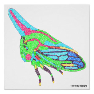 Poster (weiß) - Oak Treehopper