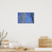 Poster "Weiße Barbe" (Küche)