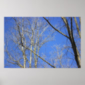 Poster "Weiße Barbe" (Vorne)