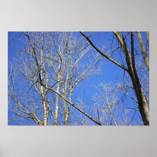 Poster "Weiße Barbe" (Vorne)
