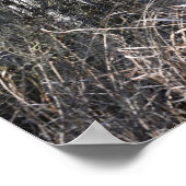 Poster "Weiße Barbe" (Ecke)