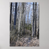 Poster "Weiße Barbe" (Vorne)