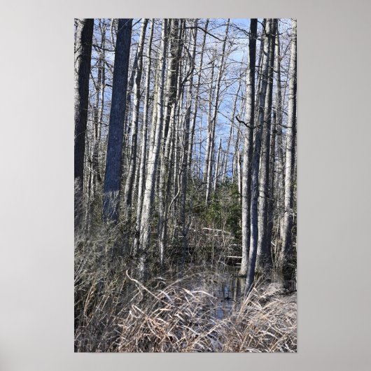 Poster "Weiße Barbe" (Vorne)