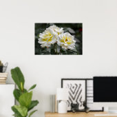 Poster Weiße Rose Fotografie (Heimbüro)