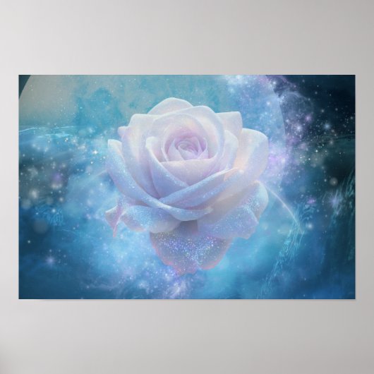 Poster Weiße Rose und Blauer Mond (Vorne)