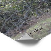 Poster - Weißes Alpaca (Ecke)