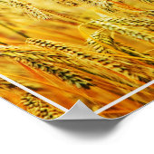 Poster-Weizen Poster (Ecke)