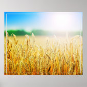 Poster-Weizen Poster (Vorne)