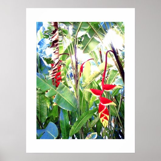 Poster white (18" x 24") The Red Flowers Bali (Vorne)