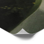 Poster White Carnation Beauty (Ecke)