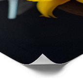 Poster - White Dove Gelbe Blumen Frieden (Ecke)