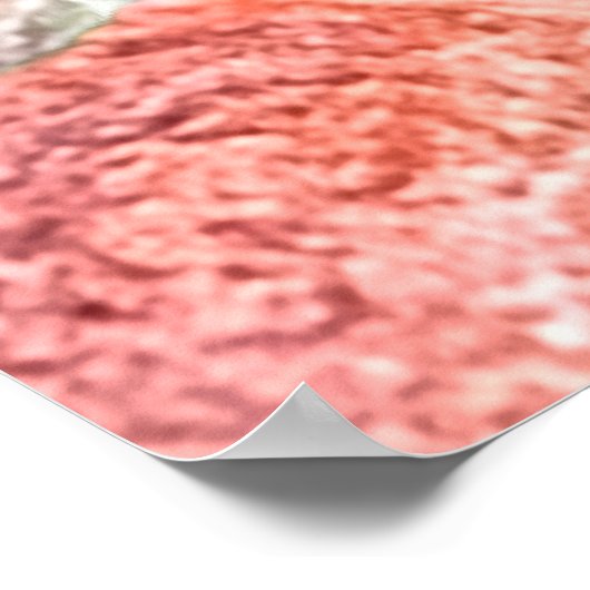 Poster. Wild about Rabbits  Poster (Ecke)