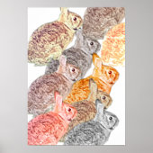 Poster. Wild about Rabbits  Poster (Vorne)