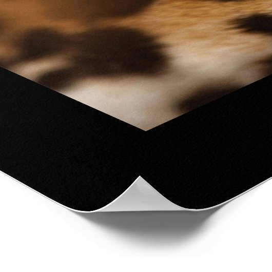 Poster-Wild Cat Poster (Ecke)