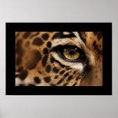 Poster-Wild Cat Poster (Vorne)