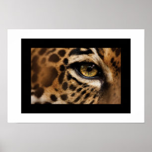 Poster-Wild Cat Poster