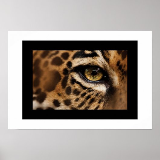 Poster-Wild Cat Poster (Vorne)