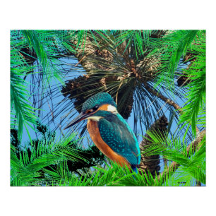 Poster Wilde Vögel Natur Tiere