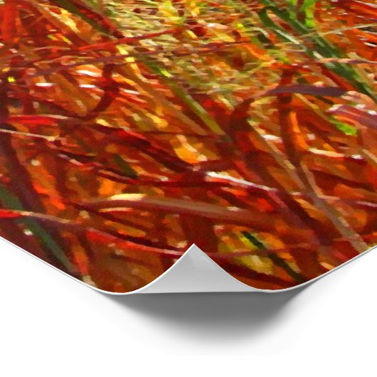 Poster "Wildfire" (Ecke)