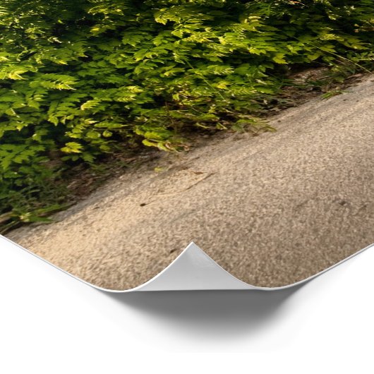 Poster - Willkommen auf unserem Planeten (keine Un (Ecke)