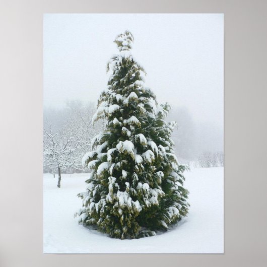 Poster Winter Szene (Vorne)