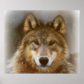 Poster/Wolf Poster (Vorne)
