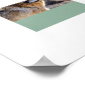 Poster-Wolves Poster (Ecke)