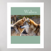 Poster-Wolves Poster (Vorne)