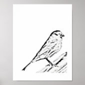 Poster - Wren zu Farbe (Vorne)