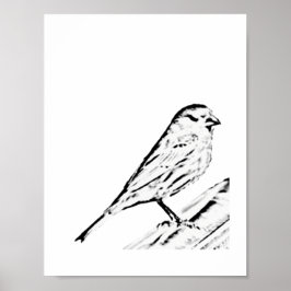 Poster - Wren zu Farbe