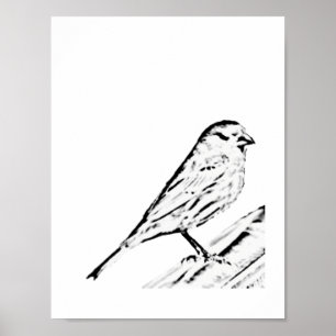Poster - Wren zu Farbe
