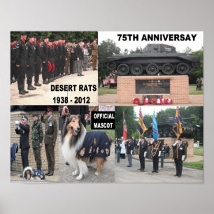Poster Wüste Rat 75. Anniverary Feiern