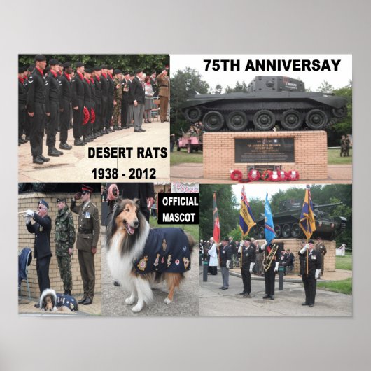 Poster Wüste Rat 75. Anniverary Feiern (Vorne)