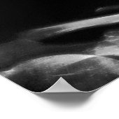 POSTER- X-RAY MUSIC SKELETON BLACK GRAY B&W POSTER (Ecke)