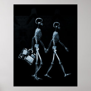 Poster X-Ray Skeleton Couple Reisen Black Blue