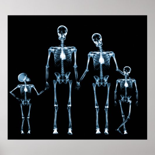 POSTER - X-RAY SKELETON FAMILY BLACK BLUE (Vorne)