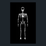 Poster - X-Ray Vision Single Skelett Schwarz-weiß<br><div class="desc">Ray Vision Single Skeleton Schwarz-weiß hohe Qualität, hoch kollektiv und einfach zu anpassen Röntgen-Stil Skelett-Design. Ein modernes und leckeres Halloween & Gothic Design, speziell für alle Leute in seltsamer Kunst da draußen gemacht! Dieses Ray Single Spooky Skeleton Design von Galleria Voxeed's Röntgen Vision Skeleton Collection macht ein total cooles, freakin'...</div>