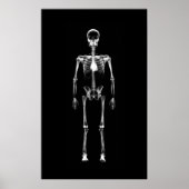 Poster - X-Ray Vision Single Skelett Schwarz-weiß (Vorne)
