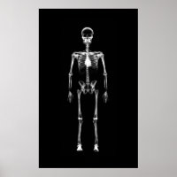 Poster - X-Ray Vision Single Skelett Schwarz-weiß