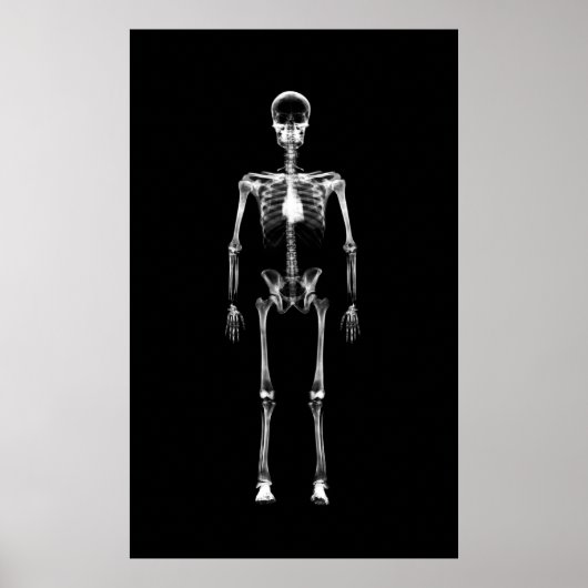 Poster - X-Ray Vision Single Skelett Schwarz-weiß (Vorne)
